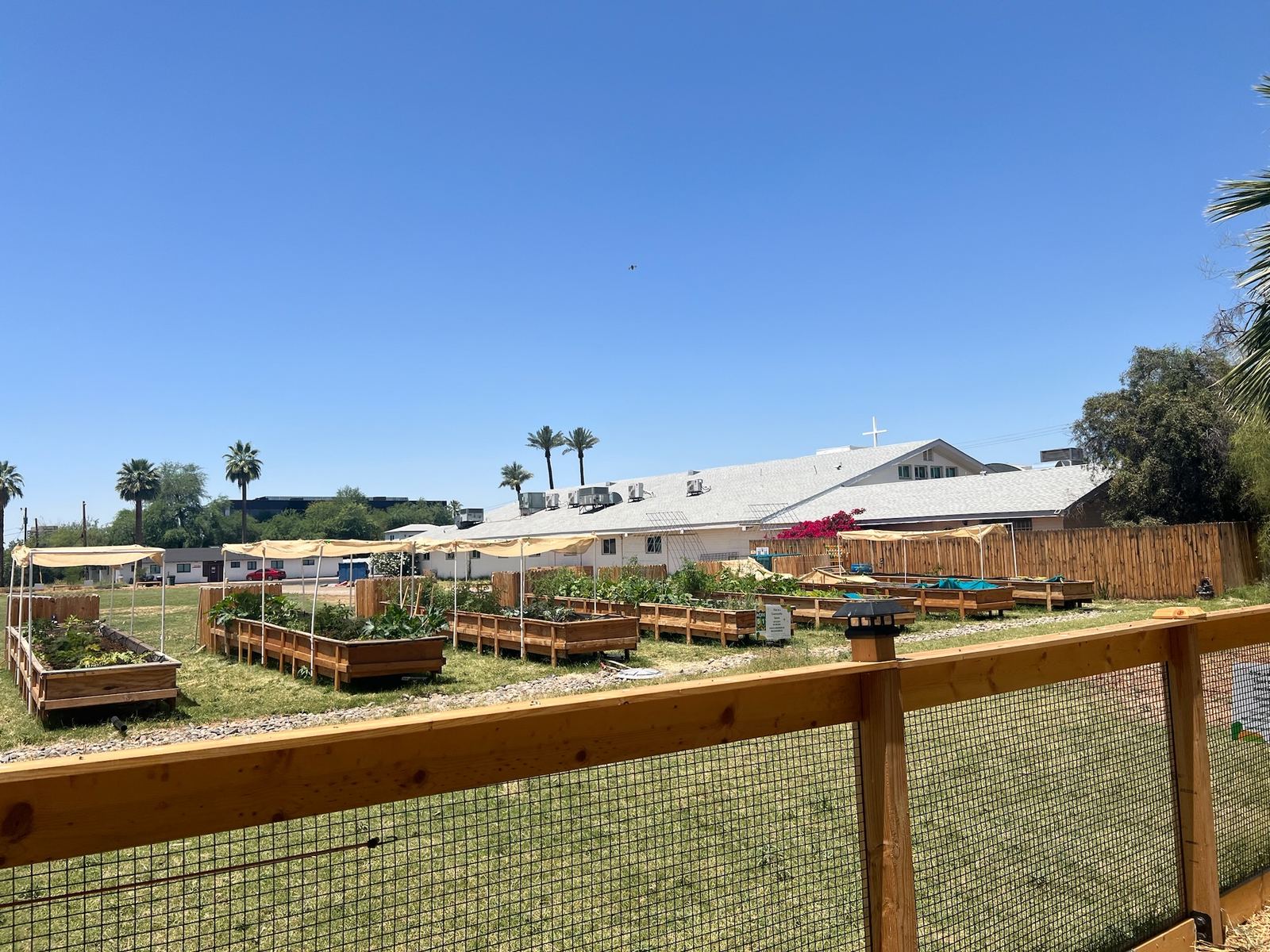 Wooden raised garden beds with tan shade canopies sit on a lawn behind a wooden fence, with a church building beyond.